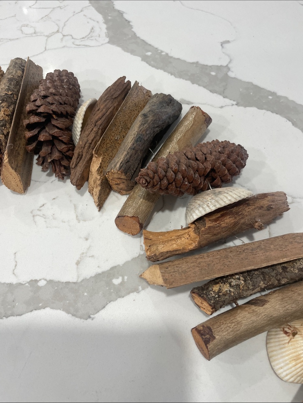 Wood and Shell strand - Picture 5 of 8